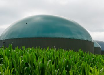 Biodigestore rifiuti urbani