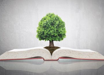 Illustrazione di un libro aperto con un albero al centro, simbolo delle novità e degli aggiornamenti del D.Lgs. 152/2006 sulla tutela ambientale.