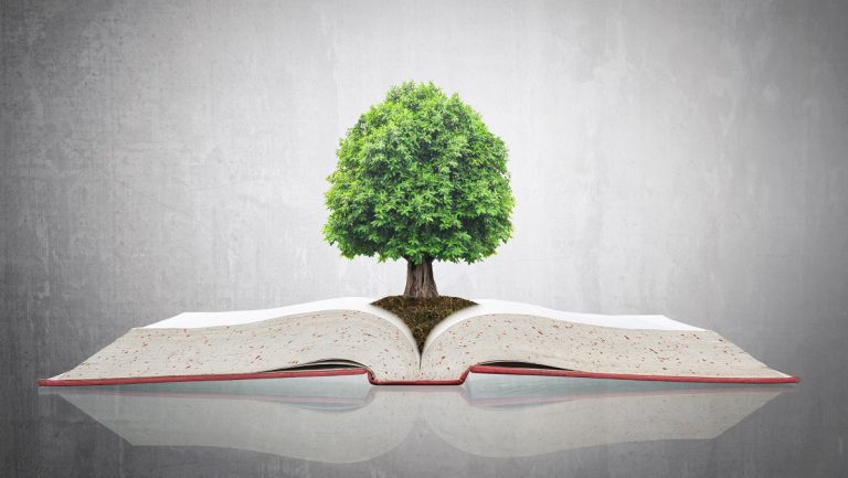 Illustrazione di un libro aperto con un albero al centro, simbolo delle novità e degli aggiornamenti del D.Lgs. 152/2006 sulla tutela ambientale.