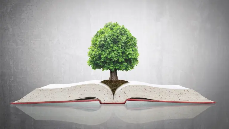 Illustrazione di un libro aperto con un albero al centro, simbolo delle novità e degli aggiornamenti del D.Lgs. 152/2006 sulla tutela ambientale.