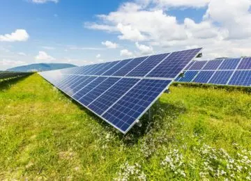 impianto fotovoltaico a terra agrivloltaico