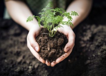 Biodiversità natura