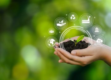 Sistemi gestione ambiente