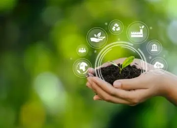 Sistemi gestione ambiente