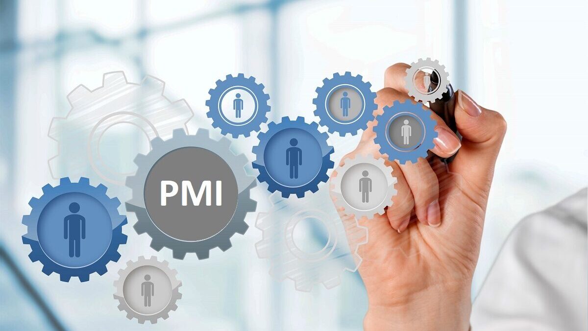 PMI piccole e medie imprese