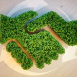 certificazioni ambientali appalti
