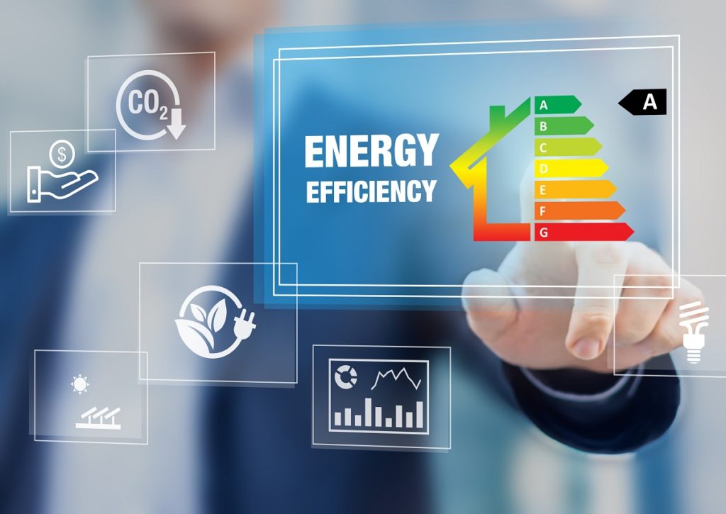 Professionista EGE analizza dati energetici su monitor in azienda sostenibile