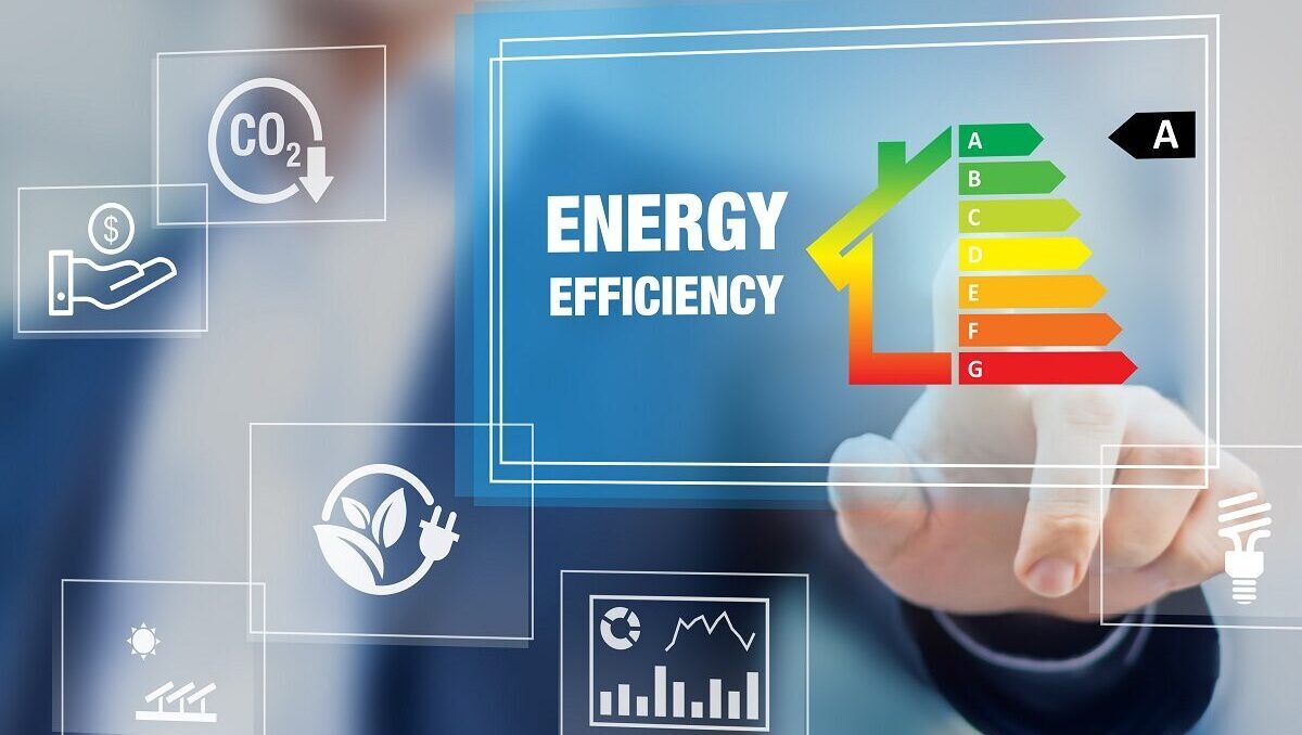 Professionista EGE analizza dati energetici su monitor in azienda sostenibile