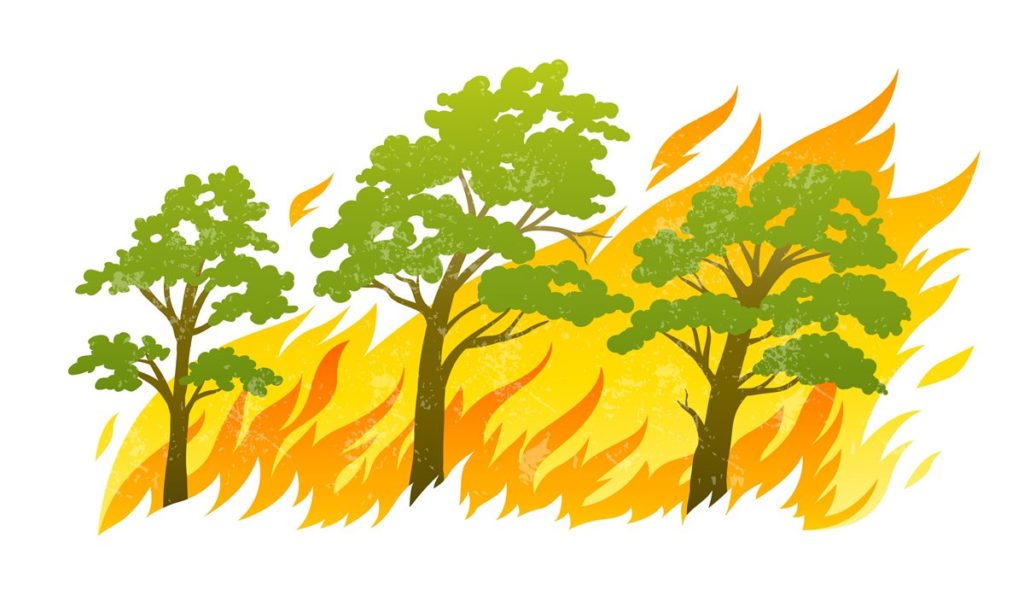incendio in area urbano rurale