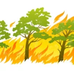 incendio in area urbano rurale