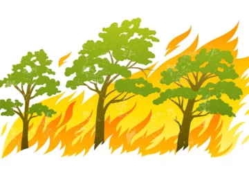 incendio in area urbano rurale