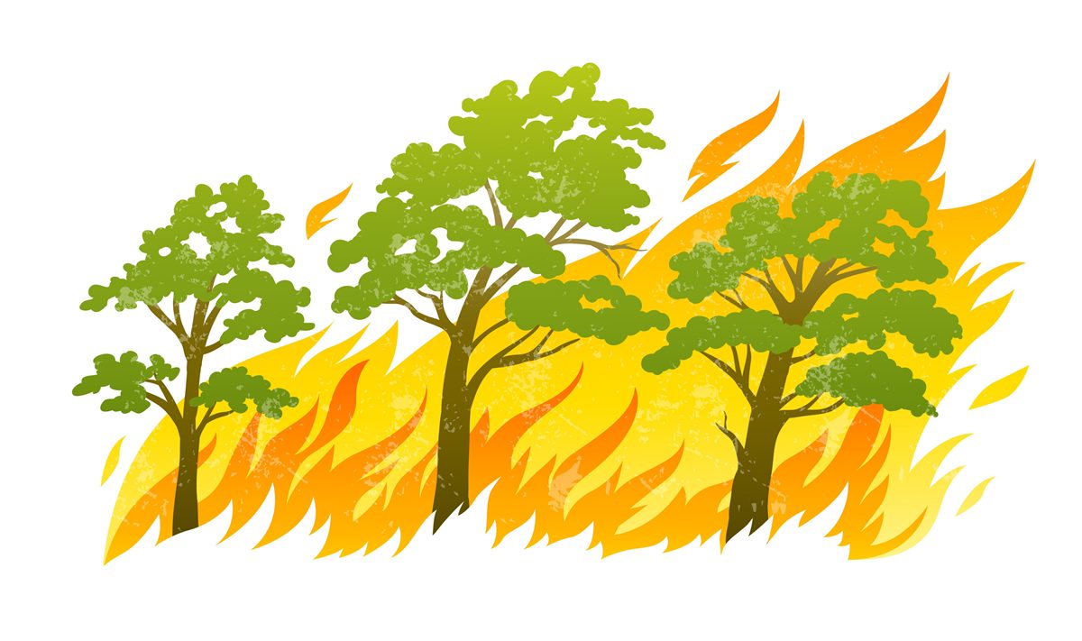 incendio in area urbano rurale