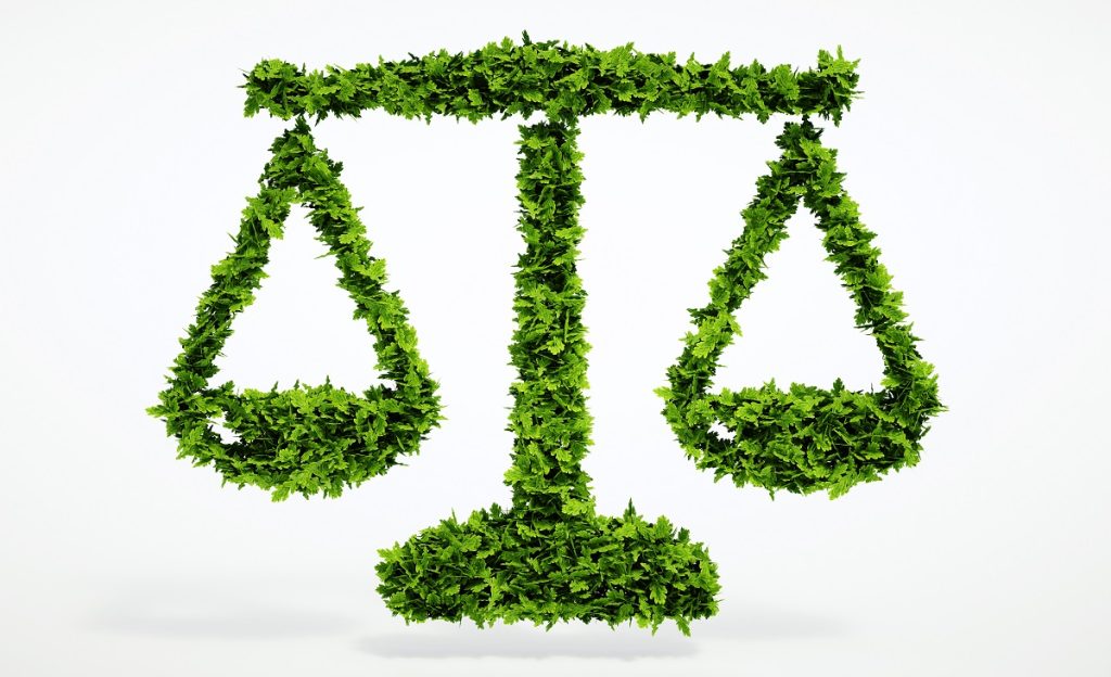 Amministratore aziendale responsabile per abbandono di rifiuti anche da parte di terzi