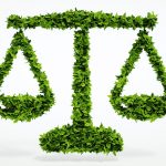 Amministratore aziendale responsabile per abbandono di rifiuti anche da parte di terzi