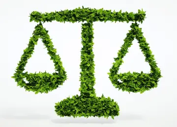 Amministratore aziendale responsabile per abbandono di rifiuti anche da parte di terzi