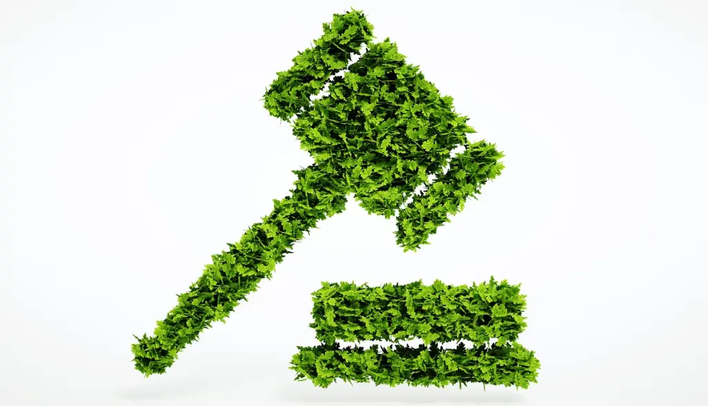 Martelletto del giudice fatto di erba verde - Rappresentazione sanzioni ambientali Legge 147/2025.