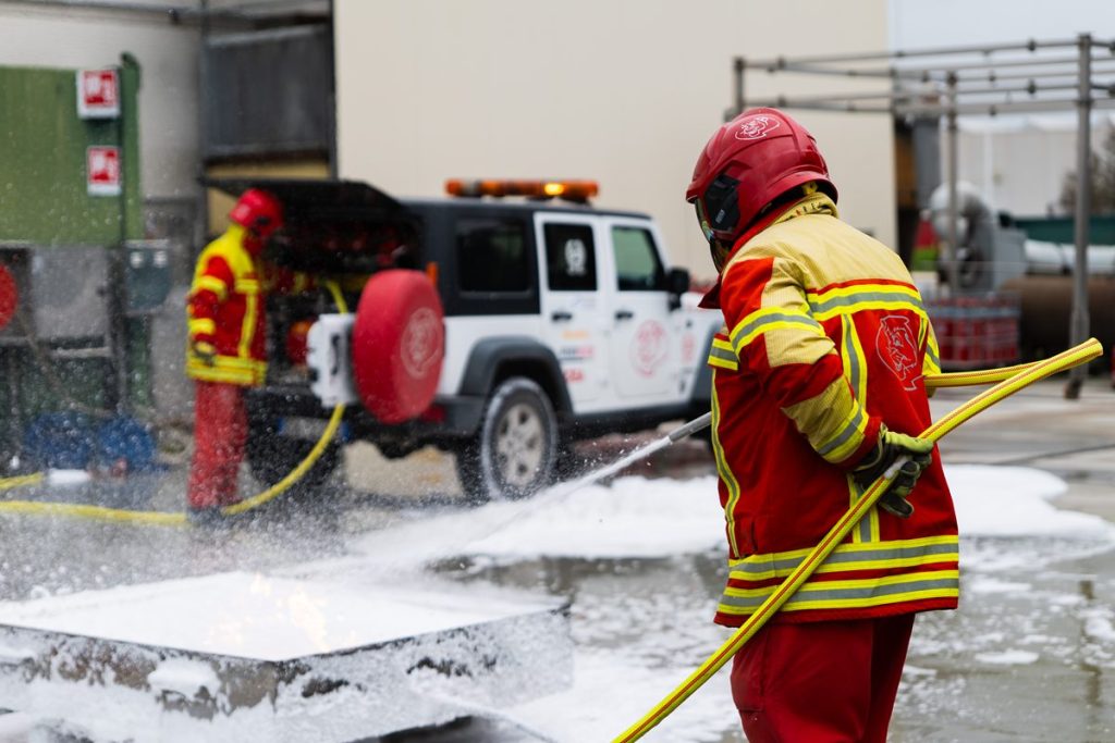 Leoni della sicurezza