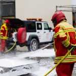 Leoni della sicurezza