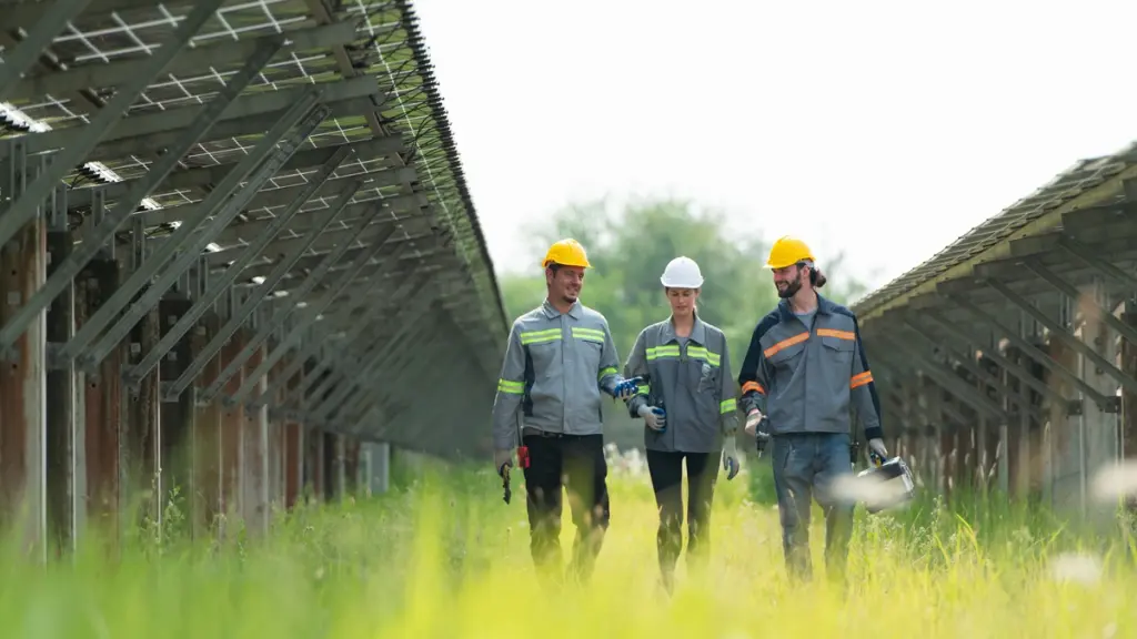 Tecnici con DPI per la sicurezza sul lavoro in un impianto agrivoltaico durante la manutenzione.