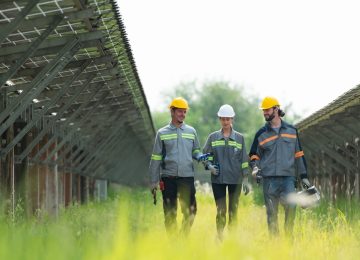 Tecnici con DPI per la sicurezza sul lavoro in un impianto agrivoltaico durante la manutenzione.