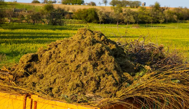 Cumulo di sfalci e potature depositati su un terreno agricolo oggetto di contestazione per discarica abusiva