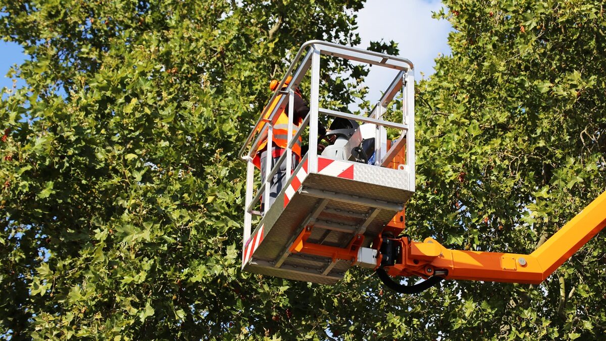 Verifiche periodiche attrezzature: i chiarimenti della Circolare n. 11/2026 sulle piattaforme in frutteto