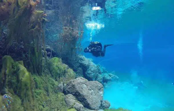 Interpello 12/2015: pesca subacquea e normativa di sicurezza